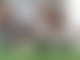 Hospital São Camilo SP tem nova diretoria executiva composta majoritariamente por mulheres