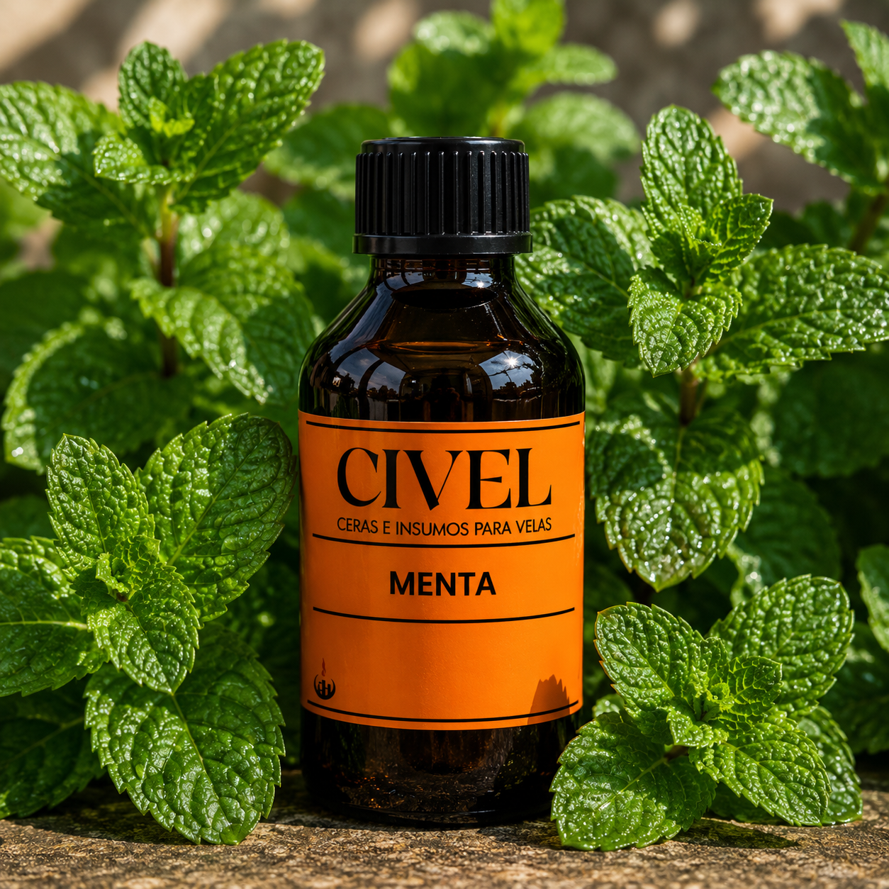 MENTA