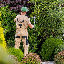 clean-services-paysagiste-jardinier-jardin-entretien-taille-plantation-elagage-tonte-pelou