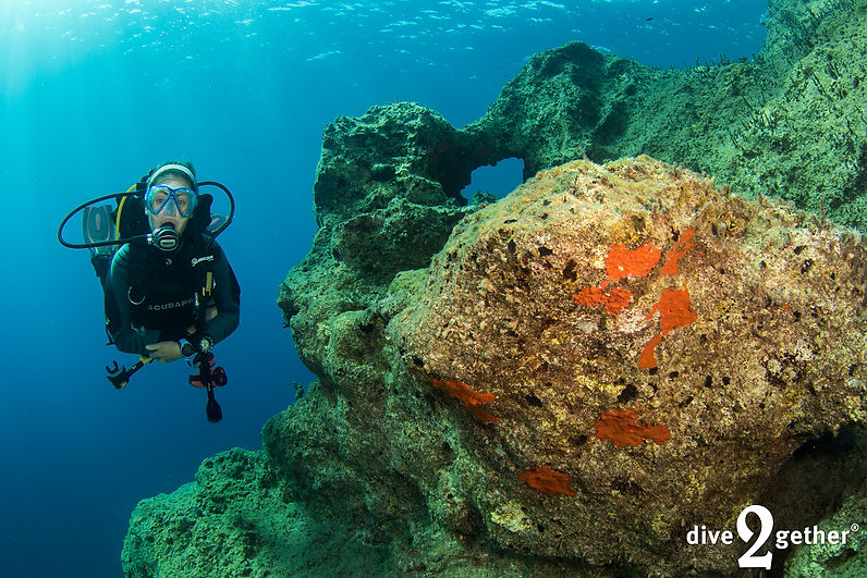 Turks Delight 47.jpg