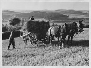 Walter Ballhause / Straßberg (Plauen) 1941–1942 / Erntearbeit und Blick ins Elstertal