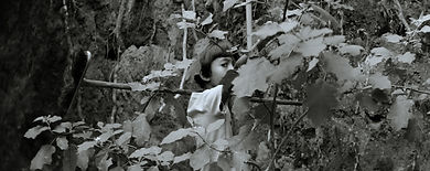 5. THE EYES OF SUMMER - 2.jpg