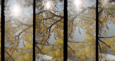 la imagen no está 2.jpg