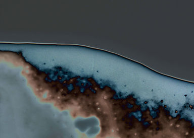 P L U M E_Film Still_1 (1).jpg