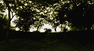 La Bala de Sandoval.jpg