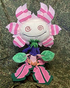 IMG_0907.jpeg