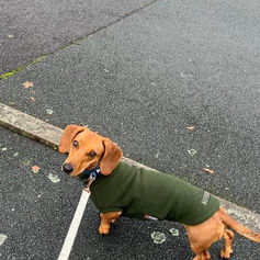 Read Parker's Adoption Story Here