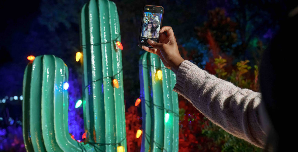 A arm is outstretched in front of an ornamental green cactus with fairy lights on it. The arm has a phone at the end and the person is taking a selfie.