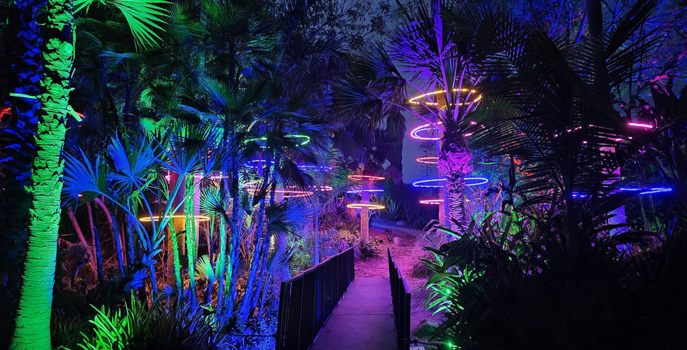 Multicoloured trees and hoops round trees sit amongst a brightly lit background in the Botanical Garden in San Diego, USA