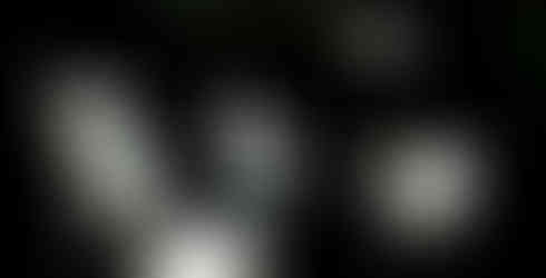 Swans made from lanterns float on water at night. The swans are lit.