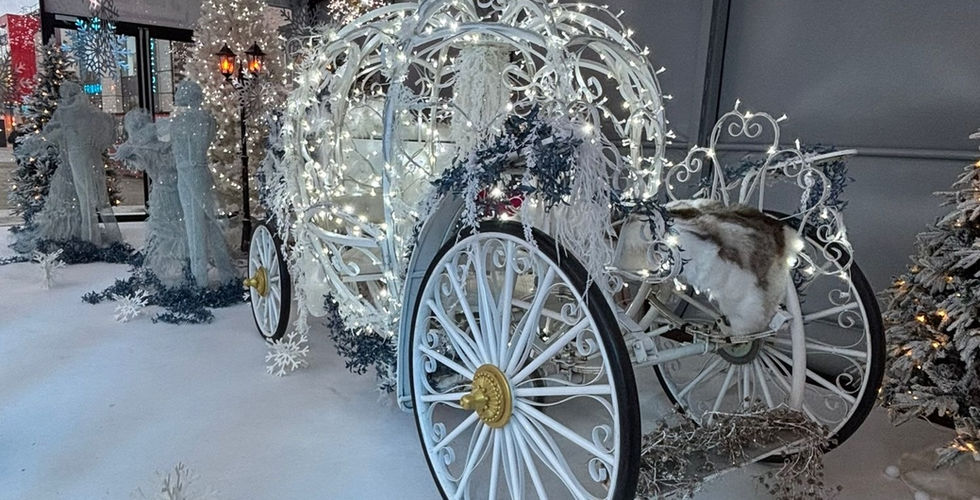 A princess carriage adorned with pea lights in a shopping centre window
