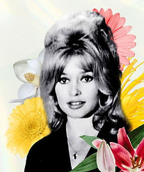 Le mystère Bardot_edited.jpg