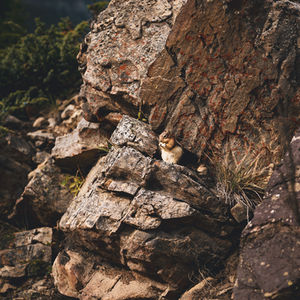 Enchanting Landscapes