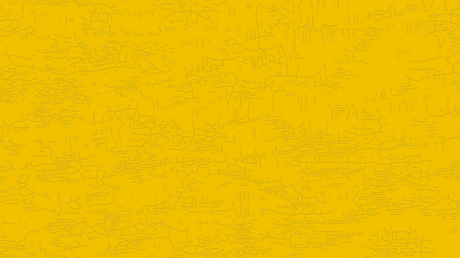 Copy of Ambe Chenemu Flyer.png