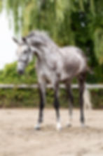 WhatsApp Image 2025-08-22 at 05.27.26.jpeg