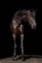 WhatsApp Image 2026-03-04 at 14.32.21.jpeg