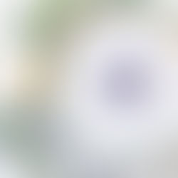 DRINK: Lavender Latte