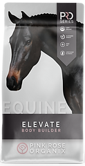 elevate bag