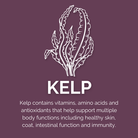 ACHIEVE KELP.png
