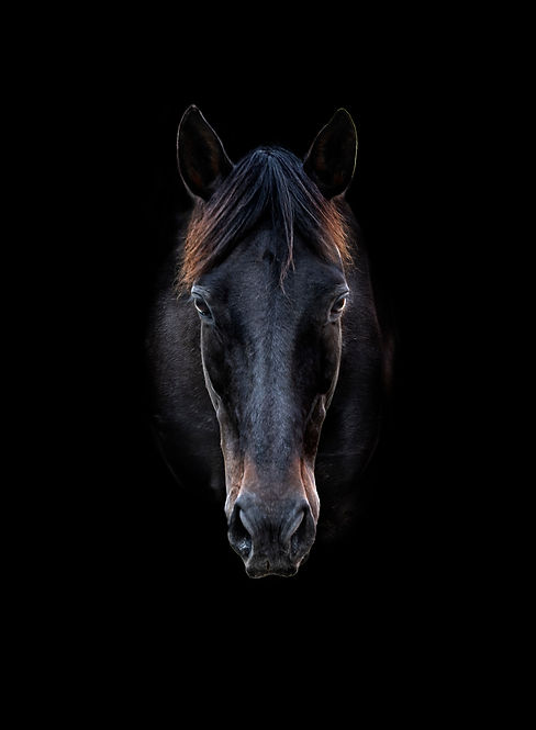 AdobeStock_353439350.jpeg
