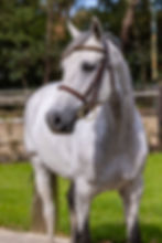 WhatsApp Image 2025-10-19 at 09.20.43.jpeg