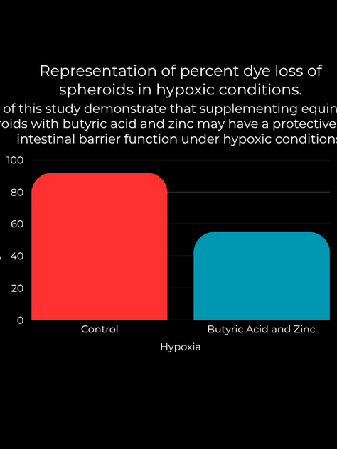Protective Effects of Butyric Acid and Zinc on Equine Intestinal CellFunction Under Hypoxic Conditions