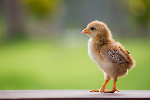 AdobeStock_377565074.jpeg