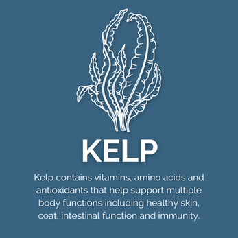 ENGAGE KELP.png