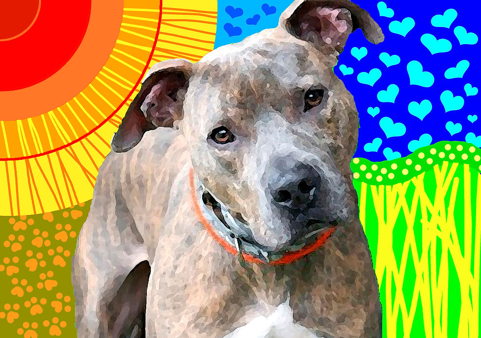 PITTIE LOVE