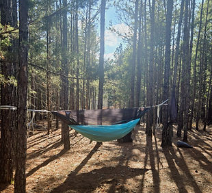 hammock 1_edited.jpg