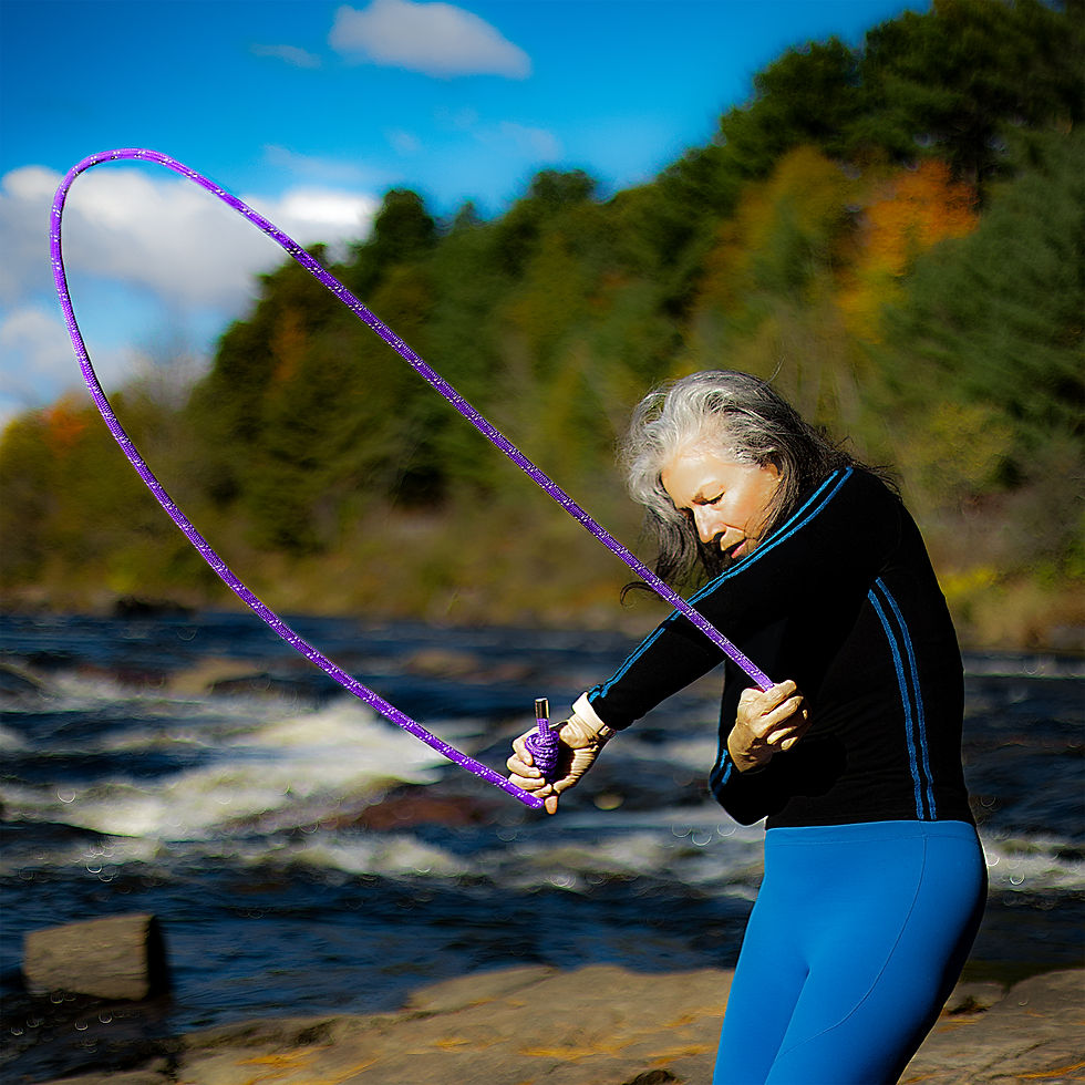 Miniature : ZenFlow