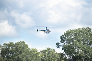 DSC_0486.jpg