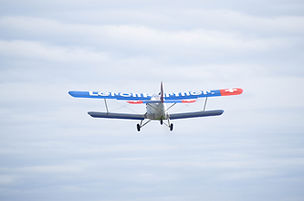 DSC_0497.jpg