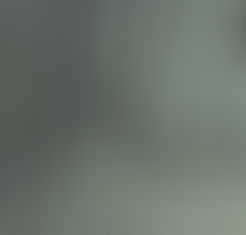 Jazz by Elizabeth Copeland