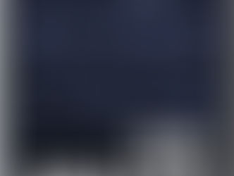 The Rosetta Man by Claire McCague