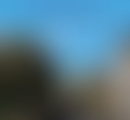 The Grand Tour of Park Ex by Andreas Kessaris