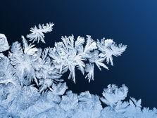 Welcome to ORB's Frosty November Issue