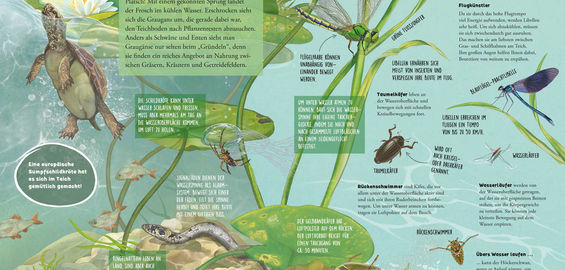 Was tummelt sich am Teich?-Jana Walczyk