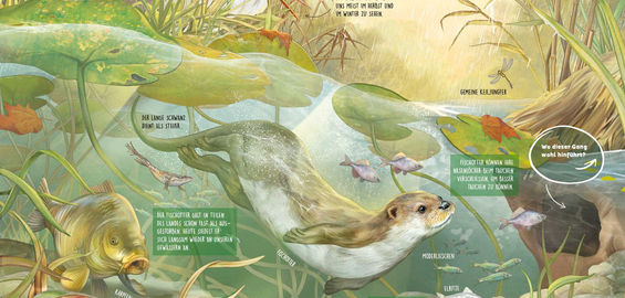 Was tummelt sich am Teich?-Jana Walczyk