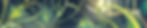 08_Header_edited.jpg