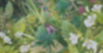 Ich-kanns-sagte-der-kleine-Spatz_Jana-Walczyk_Detail-01.jpg