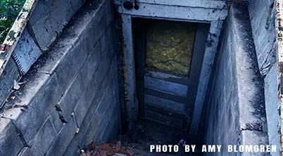 Exterior concrete stairs leading down to the dark wooden door of the haunted Malvern Manor basement.