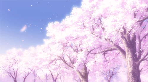 sakura.gif