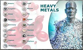 heavy metals dude.jpeg