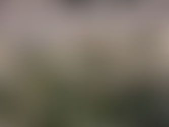 Sativa VS Indica?