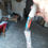 Thumbnail: BASTONE dello SCIAMANO