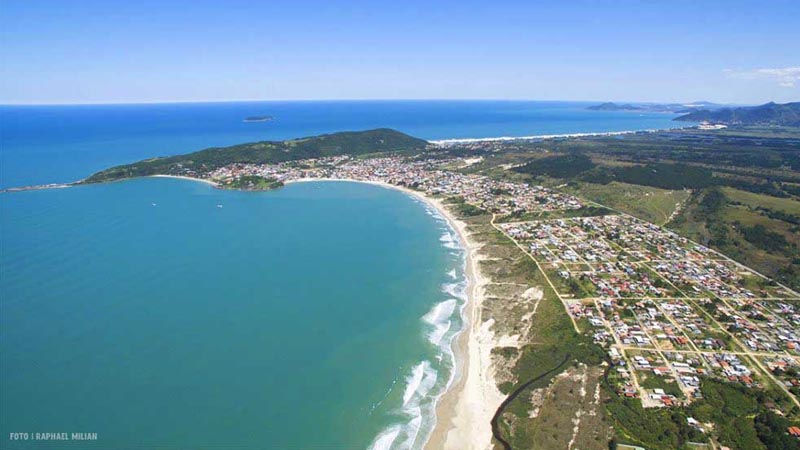 pinheira-aerea-3