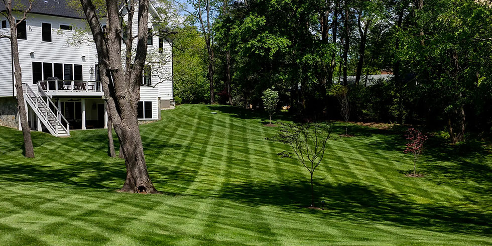 Freshly mowed lawn in Medford, Oregon with clean stripes created by a professional lawn care service