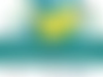 Seminar on "Ethics in the mental health caring professions "