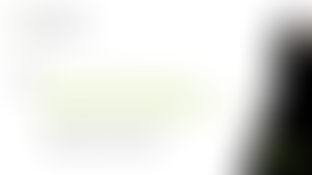 Politik auf TikTok_Online-Vortrag